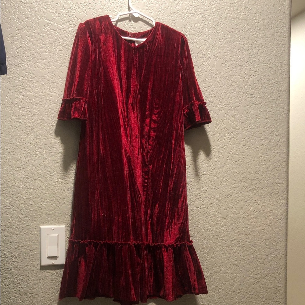 Dainty Jewels Girls Red Velvet Dress with Ruffle Sleeves